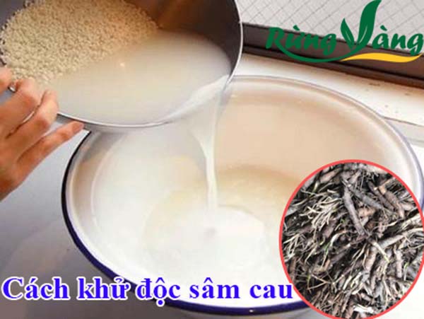 Cách Khử Hết Độc Tố Trong Sâm Cau Đen