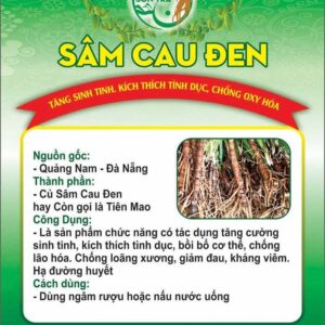 Sâm cau đen tươi