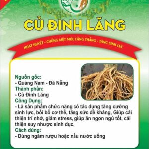 Củ đinh lăng