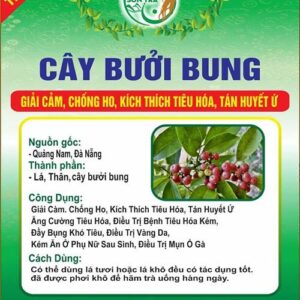 Cây Bưởi Bung