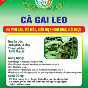 Cà Gai Leo