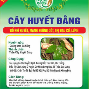 Cây Huyết Đằng