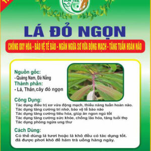 Cây Đỏ Ngọn