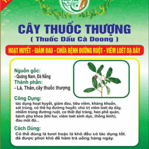 Cây Thuốc Thượng