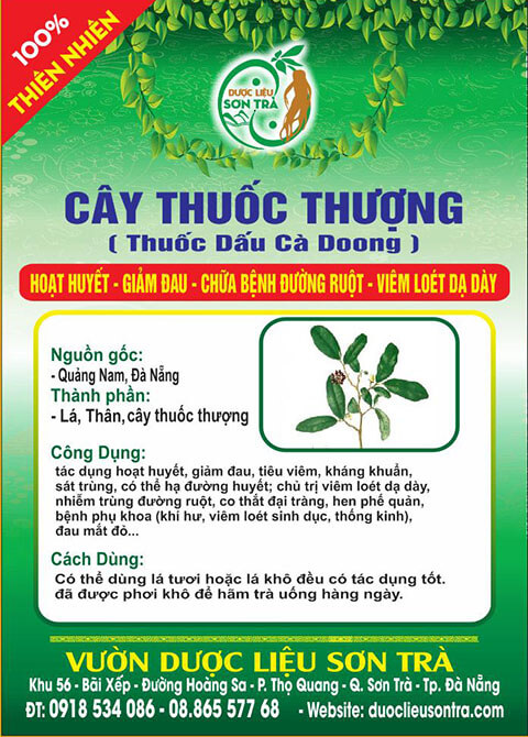 Cây Thuốc Thượng