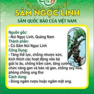 Sâm Ngọc Linh Củ Tươi