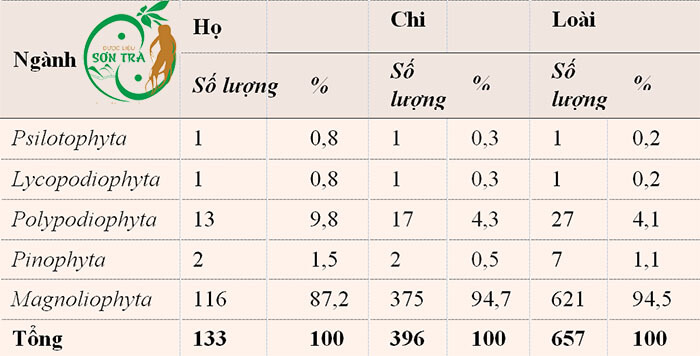 Đa Dạng Nguồn Tài Nguyên Cây Thuốc Ở Sơn Trà, TP Đà Nẵng