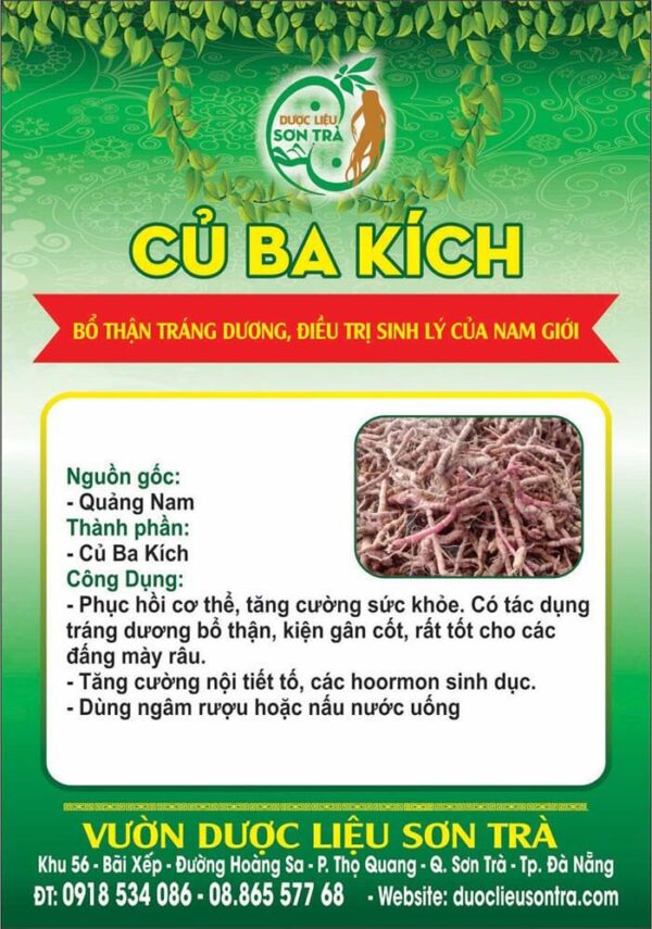 Củ Ba kích