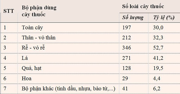 Đa Dạng Nguồn Tài Nguyên Cây Thuốc Ở Sơn Trà, TP Đà Nẵng