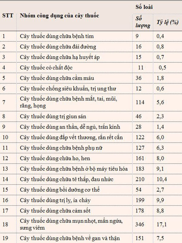 Đa Dạng Nguồn Tài Nguyên Cây Thuốc Ở Sơn Trà, TP Đà Nẵng