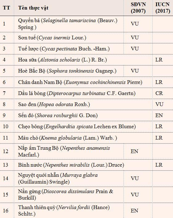 Đa Dạng Nguồn Tài Nguyên Cây Thuốc Ở Sơn Trà, TP Đà Nẵng