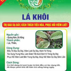 Cây Lá Khôi