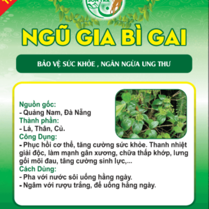 Ngũ gia bì gai