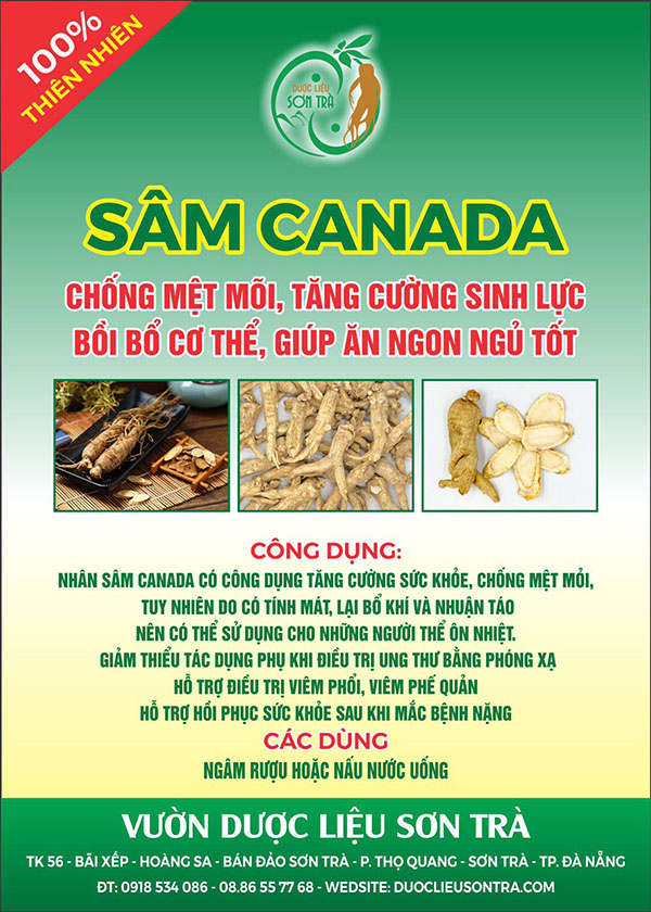 Sâm canada