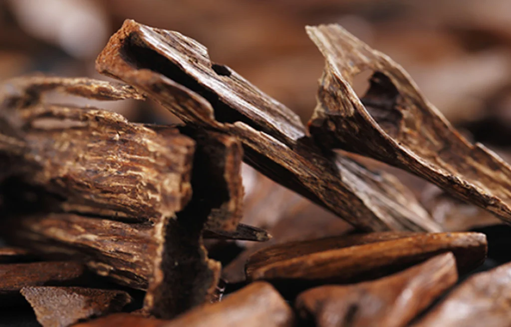 6 cách dùng trầm hương hỗ trợ an thần và xua tà khí