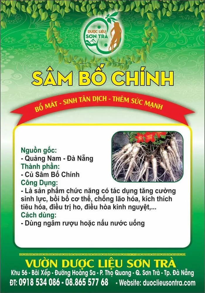 Sâm Bố Chính