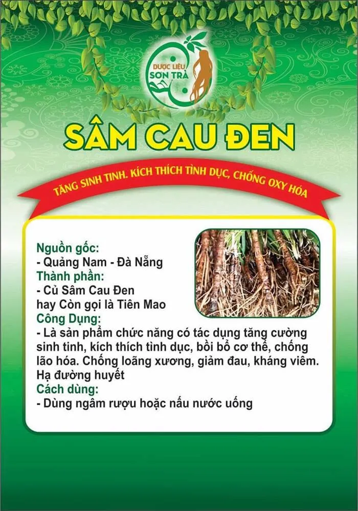 Sâm cau đen