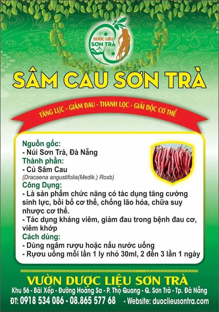 Sâm Cau Đỏ Sơn Trà