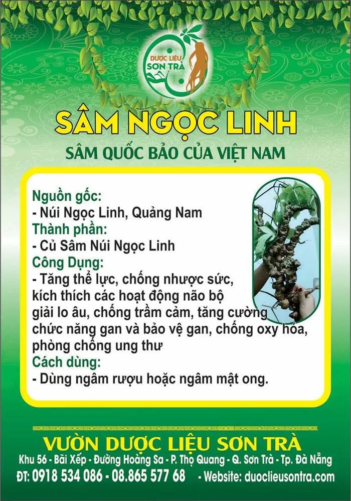 Sâm Ngọc Linh