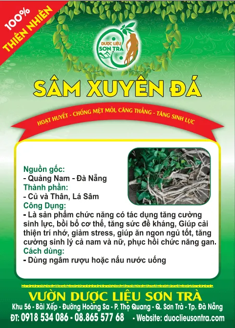 Sâm Xuyên Đá