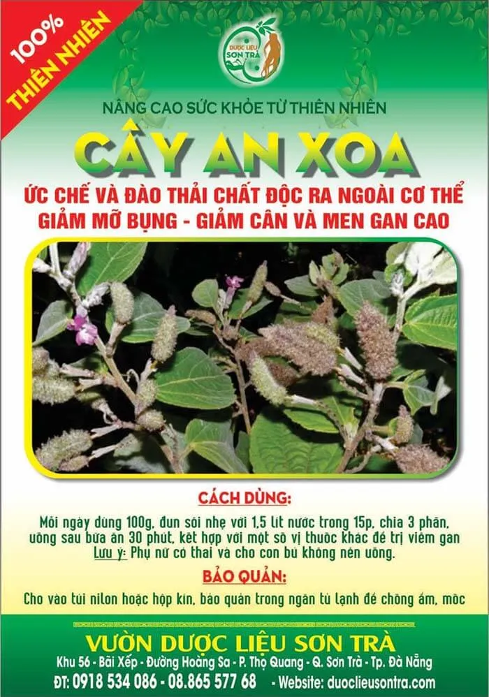 Cây An Xoa